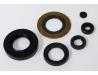 Engine oil seal kit